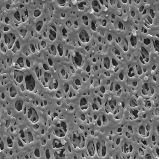 聚四氟乙烯滤膜 ptfe膜